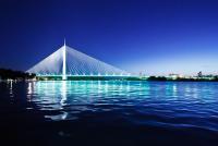 Imagine atasata: Beograd-Bridges-Night-Ada-03.JPG